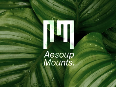 Aesoup Mounts, Logo Design brand identity branding design graphic design icon illustration logo logo design minimal natural photoshop typography wordmark
