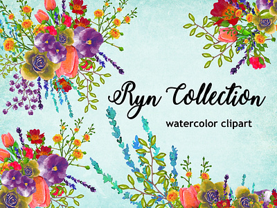 Ryn Collection