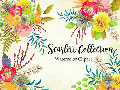 Scarlett Collection design illustration instant download png printables watercolor watercolor florals watercolor flower watercolor flowers watercolor illustration wedding design