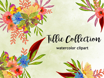 Tillie Collection design illustration instant download png printables watercolor watercolor florals watercolor flower watercolor flowers watercolor illustration wedding design