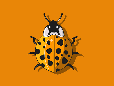 lady bug 2d adobe illustrator design illustration