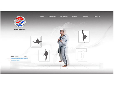 Martial Arts Web design graphic design martialart web design