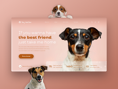 Concept Dog shelter concept design dog shelter shelter ui web design website