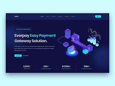 Payment Gateway Web Design app banking card dark version finance gataway illustration master card money pay payment payment app payment gateway product design ui uidesign user interface ux web webdesign