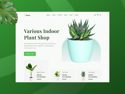 Plant Shop: Plants Website Header Design
