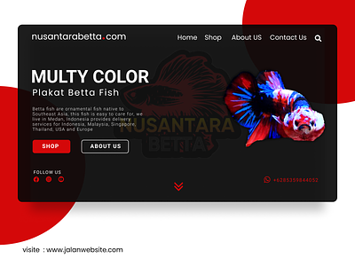 Nusantara Betta animals betta fish bettafish branding uiuxdesign webdesign webdevelopment website builder