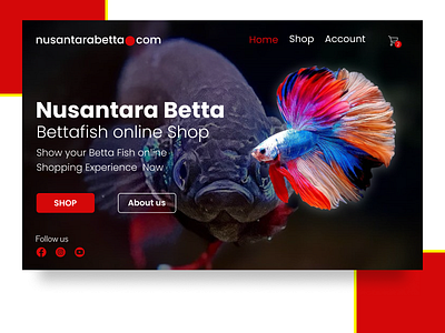 Bettafish nusantara betta illustration uiuxdesign webdesign website builder website design websites