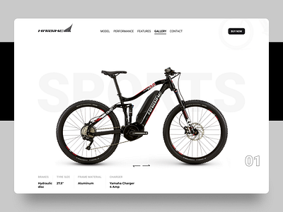 HaiBike landing Page