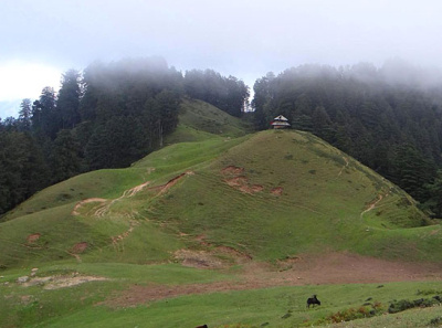 TravelFrost - Best Hotels in Uttarakhand