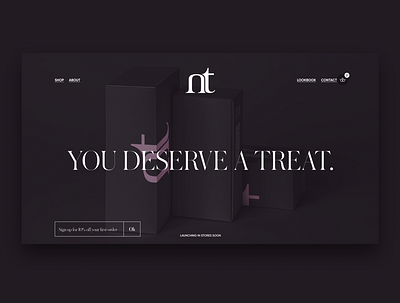 NT Cosmetics Landing page redesign branding design ui we web design webdesign website website design