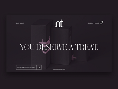 NT Cosmetics Landing page redesign