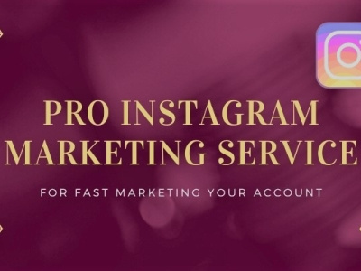 I will do organic instagram marketing and promotion targeted org