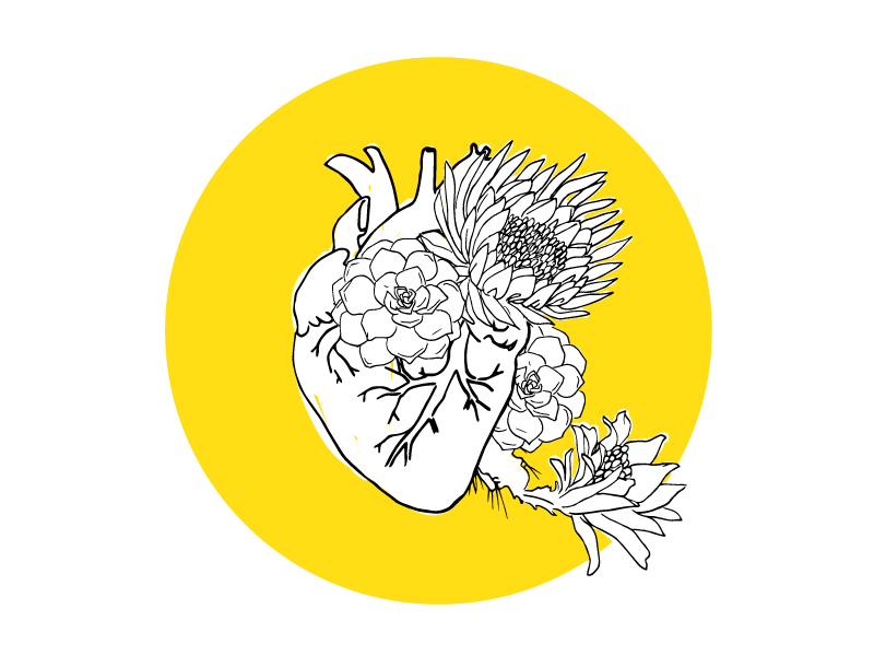 Heart and succulents 800x600