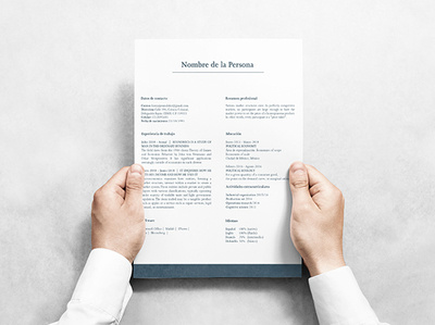 CV for economist branding cv design design editorial design editorial layout graphic design resume cv resume design