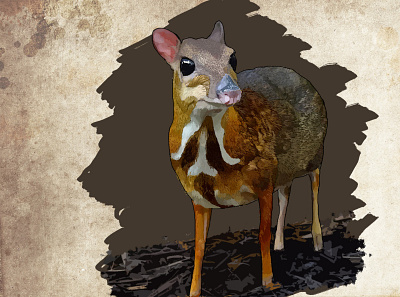 mouse deer animal character character design characterdesign digital art digital artwork digital painting digitalart photoshop