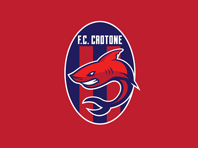 FC CROTONE CONCEPT IDEA.1.0