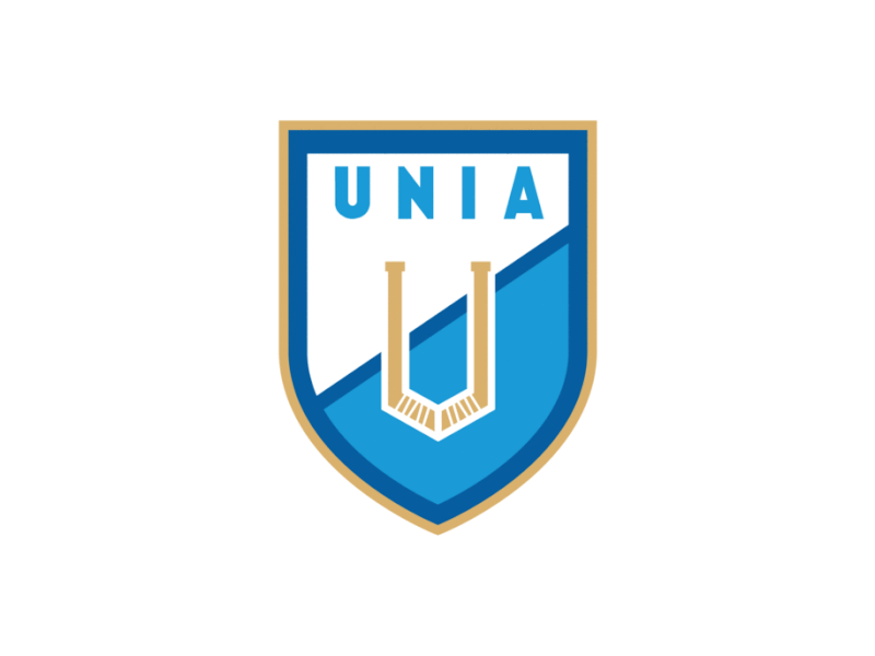 UNIA OSWIECIM CONCEPT LOG badge branding hockey poland