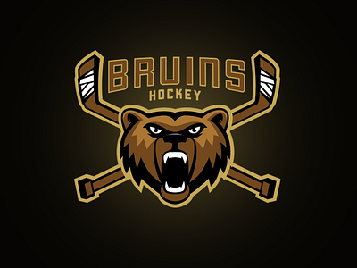 Bruins logo  (FOR SALE)