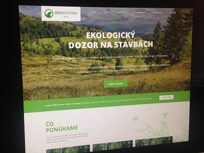 Company WIP clean design green minimalism modern web webdesign website