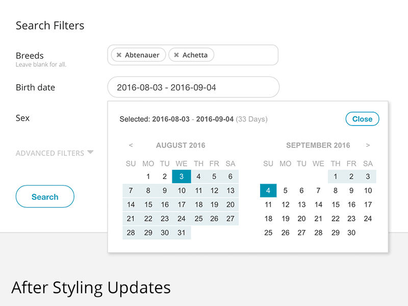 Before & After Date Selector Styling Updates date design form selector ui web