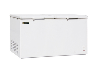 Variety of Chest Freezer in India