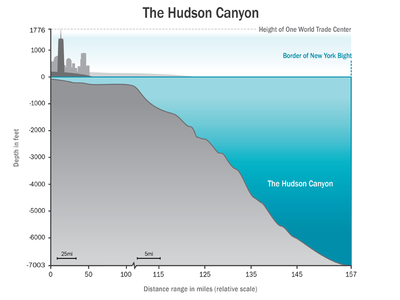 Hudson Canyon Depth Visual data visualization hudson infographic map new york river visual