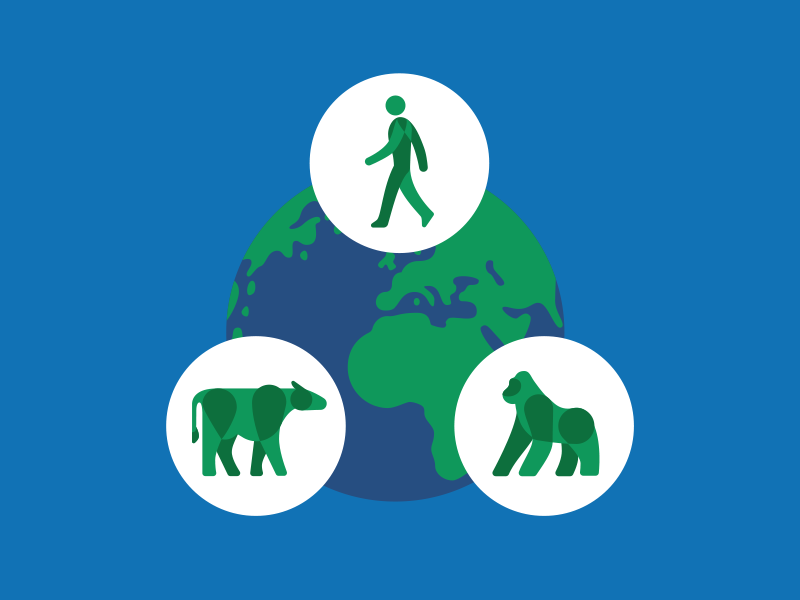 Wildlife Health Spot Rework environment conservation nature earth diagram person gorilla cow vector illustration health wildlife