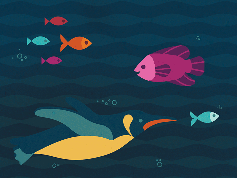 Wild About Oceans — Penguin & Friends bubbles children illustration marine animals vector sea underwater water penguin fish oceans