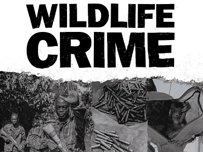 Wildlife Crime Brochure & Typography brochure crime dark diy gritty print texture type typography wildlife
