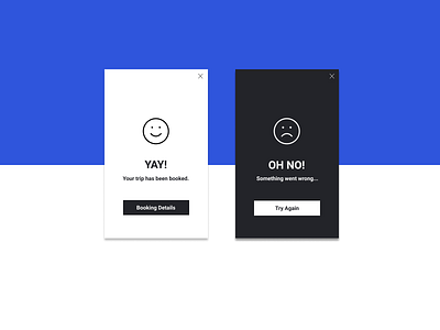 Daily UI 011 // Flash Message