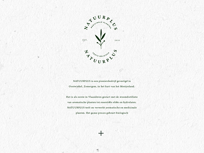 NP brand design design graphicdesign illustration logo minimal plant