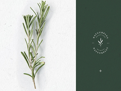 NP 2 branding design graphicdesign illustration logo minimal plant