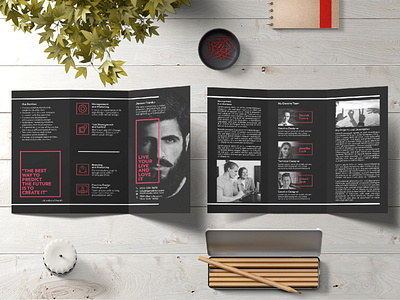 Brochure Design   Tri Fold Business Brochure