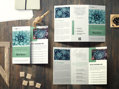 Brochure Design - Tri Fold Business Brochure