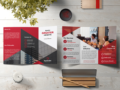 Brochure Design - Tri Fold Business Brochure