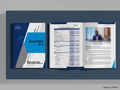 Annual Report - OPHWC book cover book design brand identity freelancer indesign layout design photoshop print design