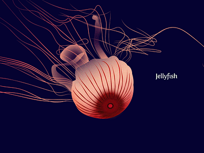Jellyfish illustration jellyfish pink underwater