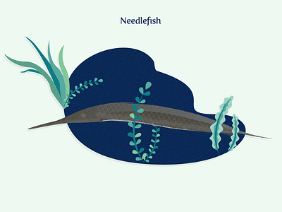 Needle Fish artwork illustration needle species water