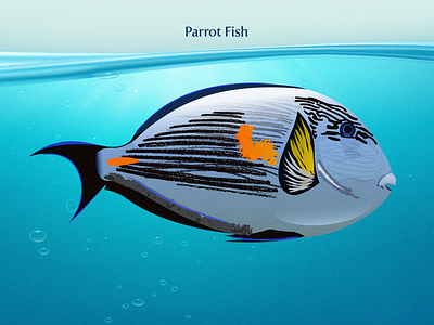 Parrot Fish colors fish illustration nature ocean