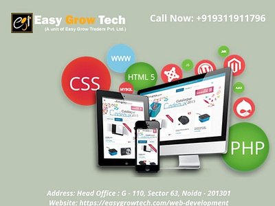 Best Website Development Company in Noida design
