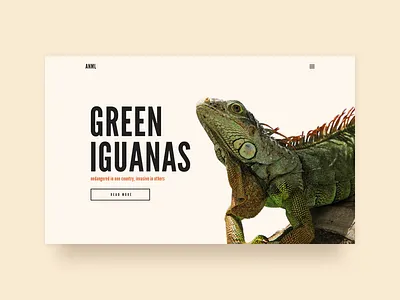 The Green Iguana animal editorial lizard typography ui webdesign