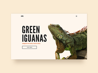 The Green Iguana animal editorial lizard typography ui webdesign