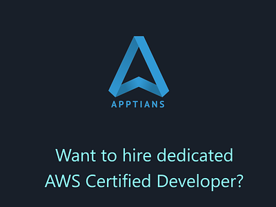 Hire a Dedicated AWS Certified Developer app seo