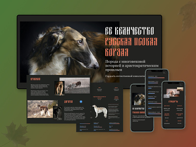 Her Majesty the Russian Greyhound art design typography ui ux vector web website