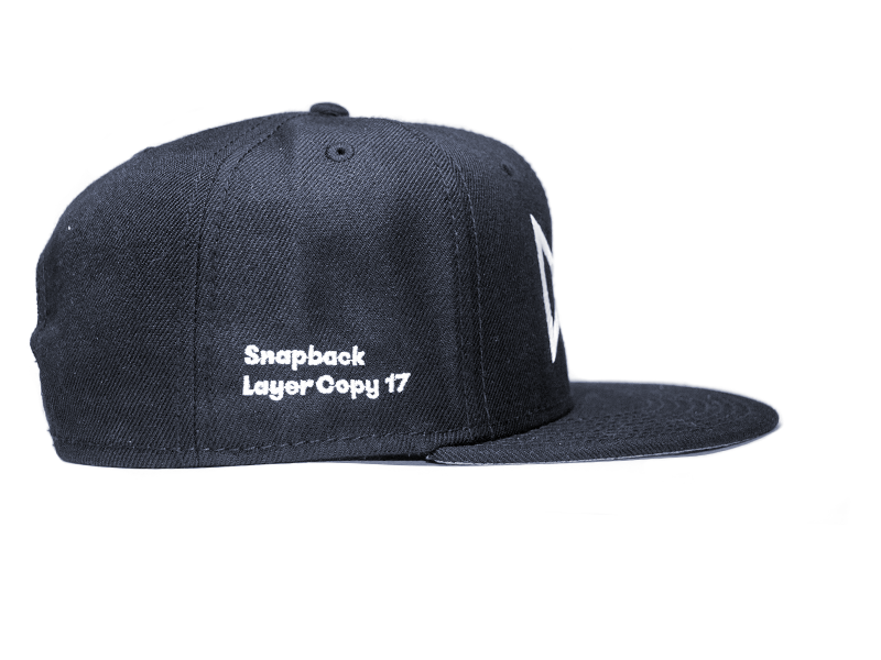 Snapback Layer Copy 17 be perfect cap embroidery fun hat print snapback