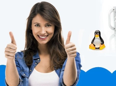 Everything You Want To Know About Linux Dedicated Server linux dedicated server provider