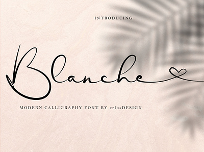 Blanche Font art branding design graphic design illustration logo minimal typography vector website