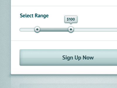 (WIP) Sign Up Form blue button input login radio range select shadow sign tooltip up