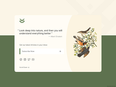 Daily UI #026 - Subscribe birds challenge daily ui daily ui 026 dailyui dailyuichallenge day 26 design figma nature subscribe subscribe now ui ux