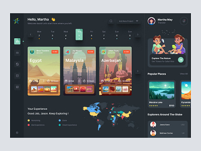 Travel Dashboard admin admin panel admin theme admin ui analytics cards dark theme dark ui dashboad dashboard grid view interface sidebar uiux user user dashboard user interface